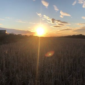 Meet your Posher, Sean